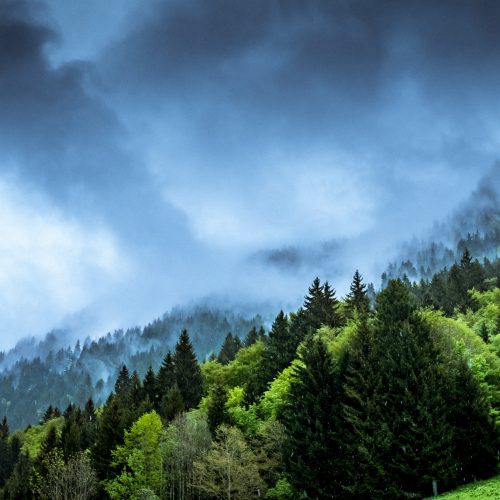 climate change