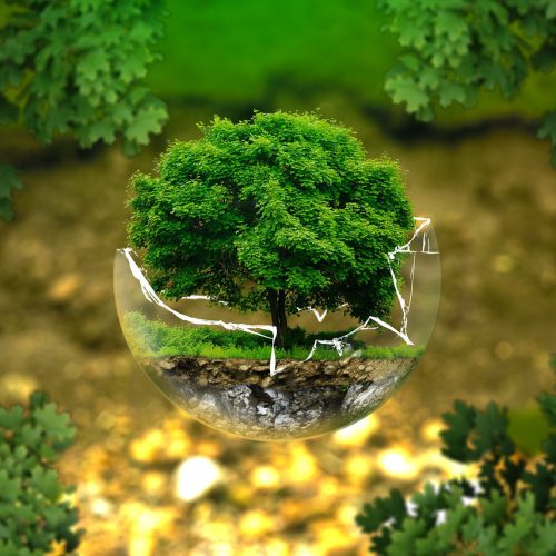 Net Zero 2030: How to get it?